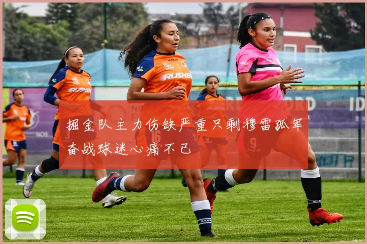 掘金队主力伤缺严重只剩穆雷孤军奋战球迷心痛不已