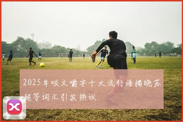 2025年咬文嚼字十大流行语揭晓苏超等词汇引发热议