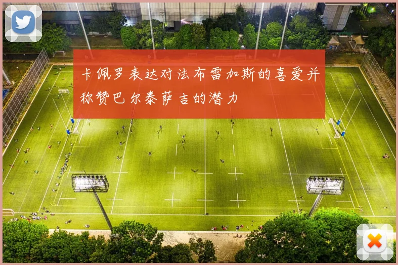 卡佩罗表达对法布雷加斯的喜爱并称赞巴尔泰萨吉的潜力